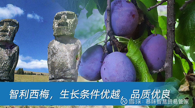 8月智利国内贸易增长4.8%