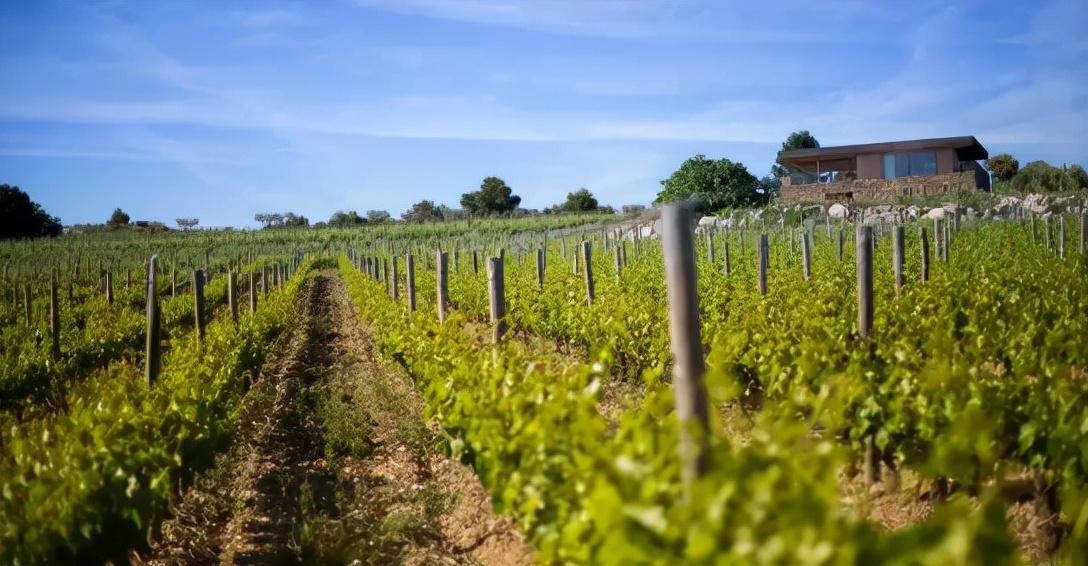 8月智利国内贸易增长4.8%