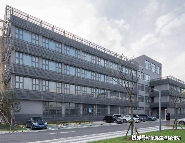 智立方：截至2025年10月20日股东总户数为14,436户