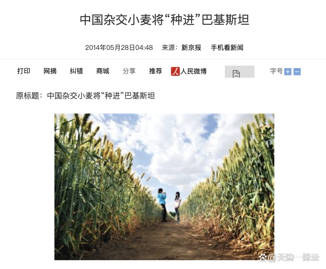 大米成为非洲进口量增长最快的粮食