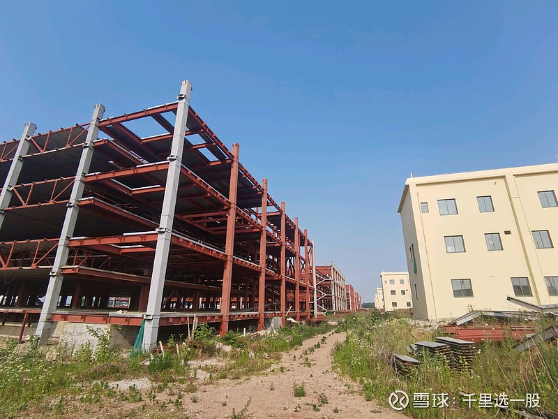 天邦食品（002124）2025年三季报简析：净利润同比下降80.65%