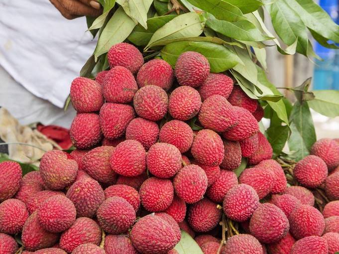 马达加斯加政府力推荔枝产业透明度建设