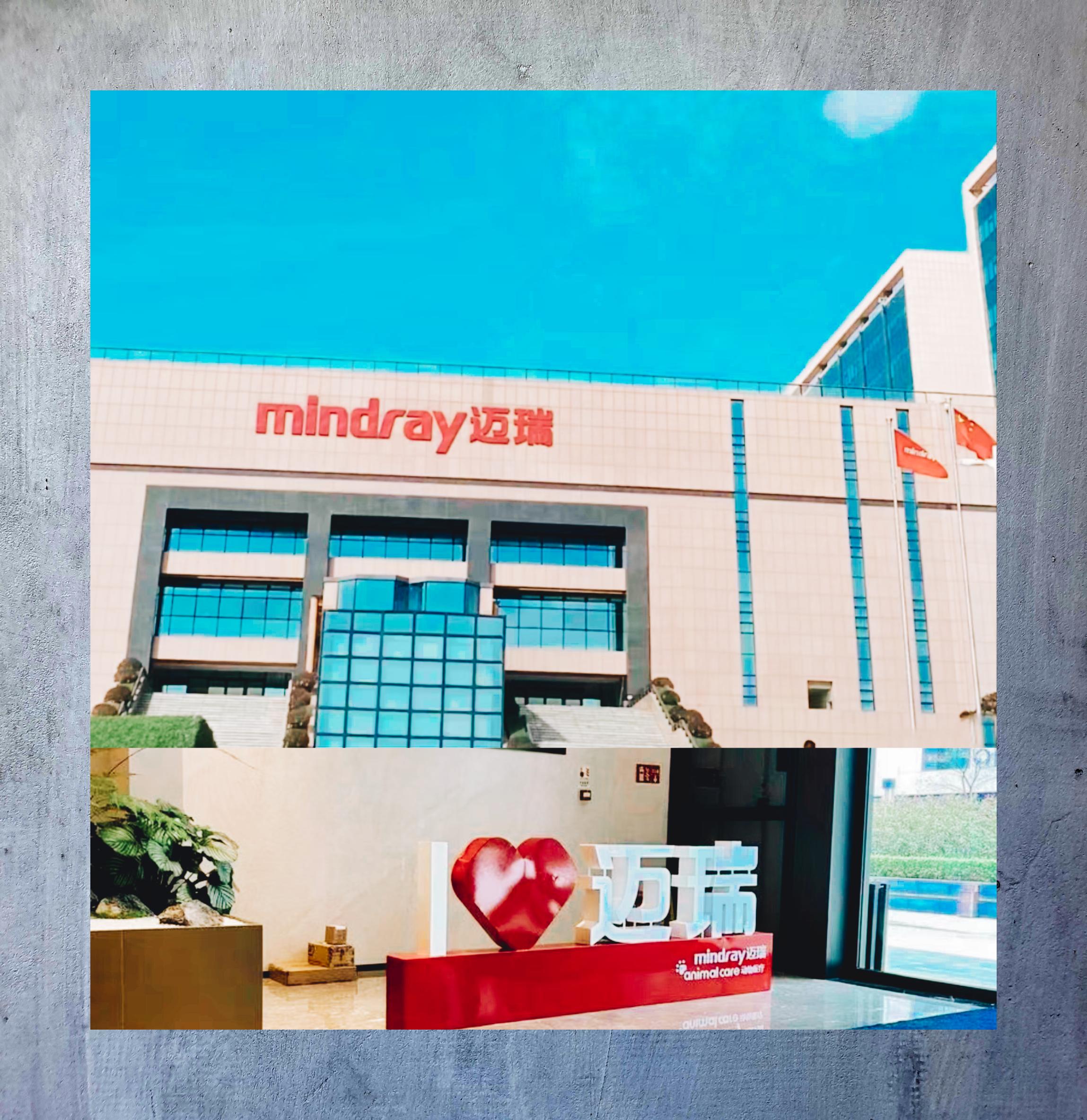 迈瑞医疗：通过技术创新提升盈利水平