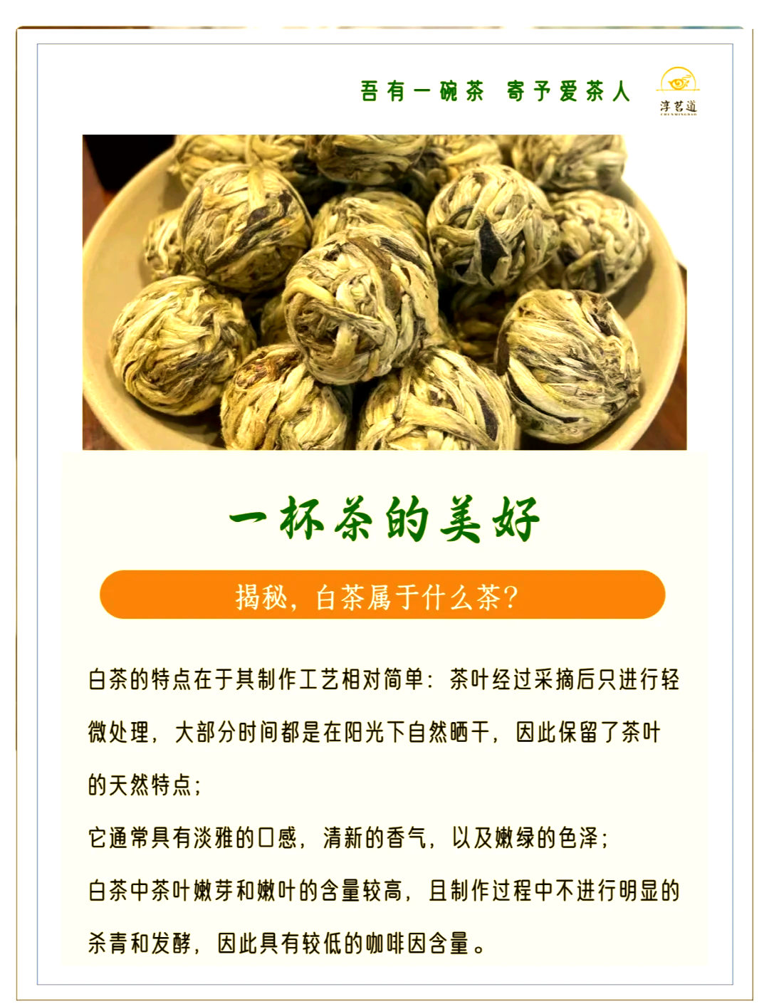 白茶之乡的文旅“蝶变”,全国现存茶叶相关企业超163.5万家