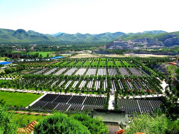 福寿园上市后首现亏损：今年上半年预亏超2.35亿元