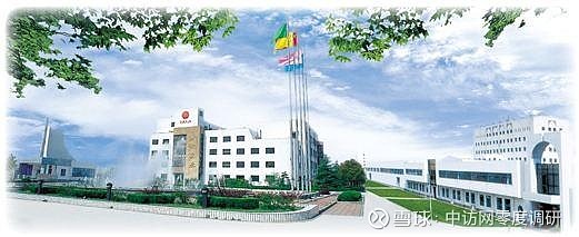 太极实业：关于中期票据获准注册的公告