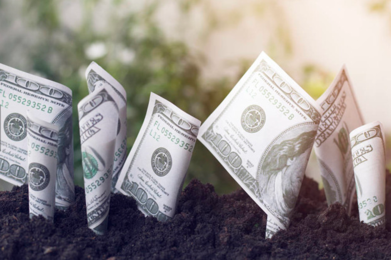 “补血”进行时!今年险企发债规模超700亿元