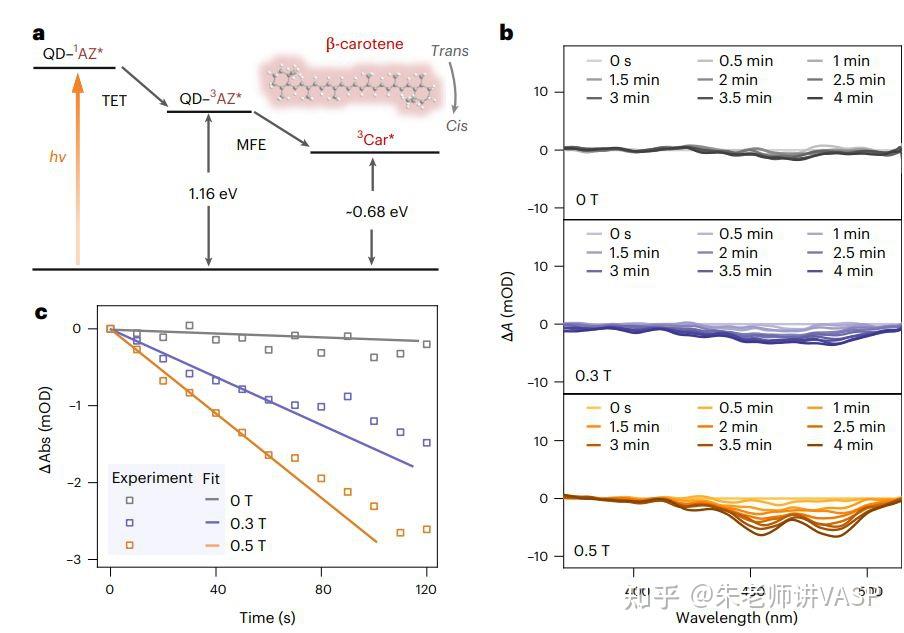 我国科学家实现纠缠增强纳米尺度单自旋量子传感