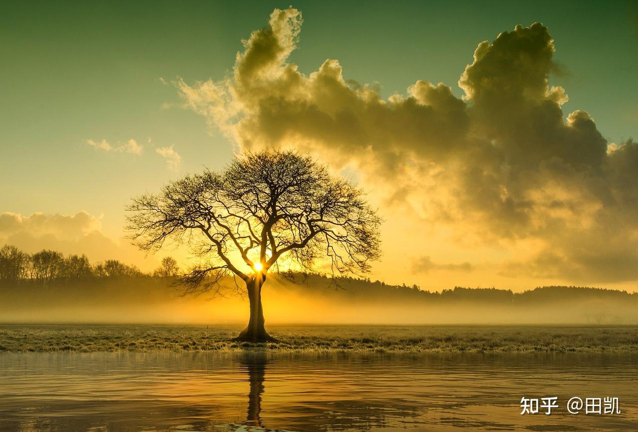 心理咨询师收费高受热议,现存相关企业超13.5万家