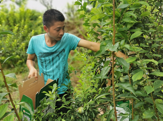 激活乡村“人才引擎”——农广校45年扎根乡土服务“三农”