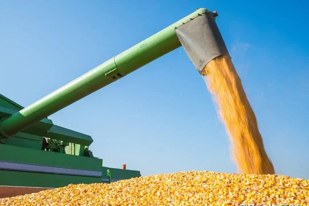 利比里亚邦州启动大型现代化玉米种植项目