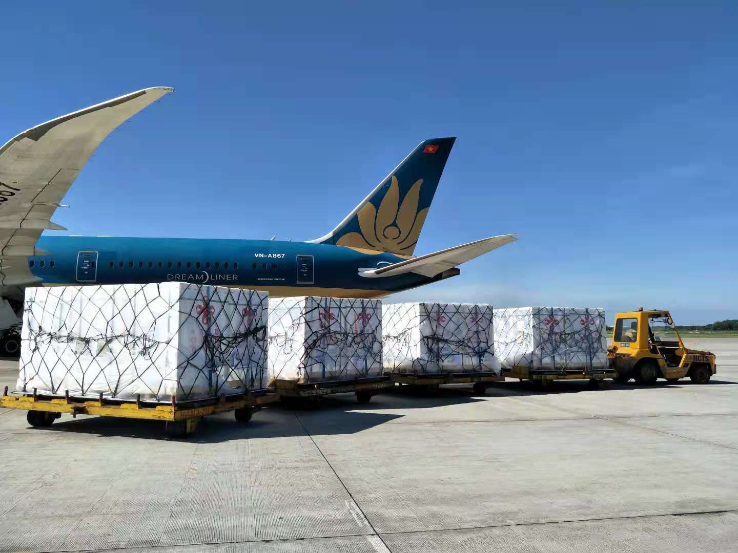 2025年VinFuture全球科技奖在河内颁奖