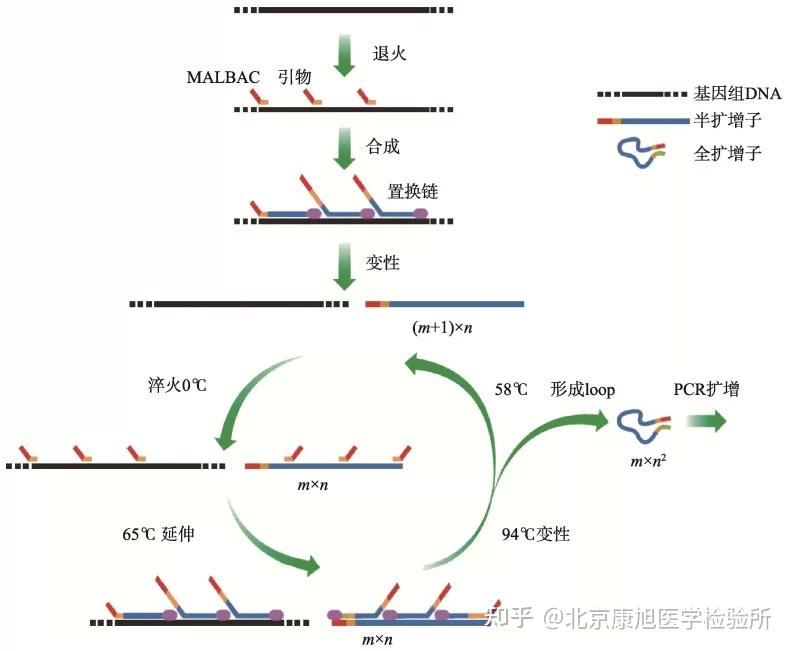 生殖医学新发现：试管婴儿技术，只选对的，不选贵的