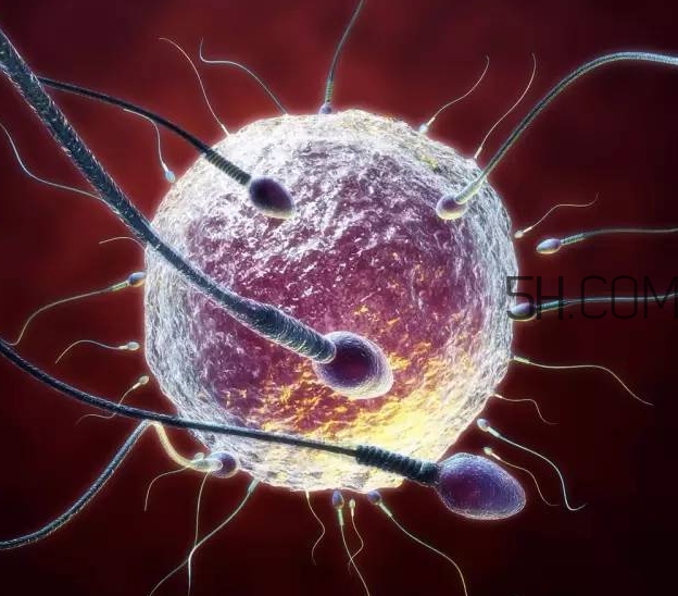 生殖医学新发现：试管婴儿技术，只选对的，不选贵的