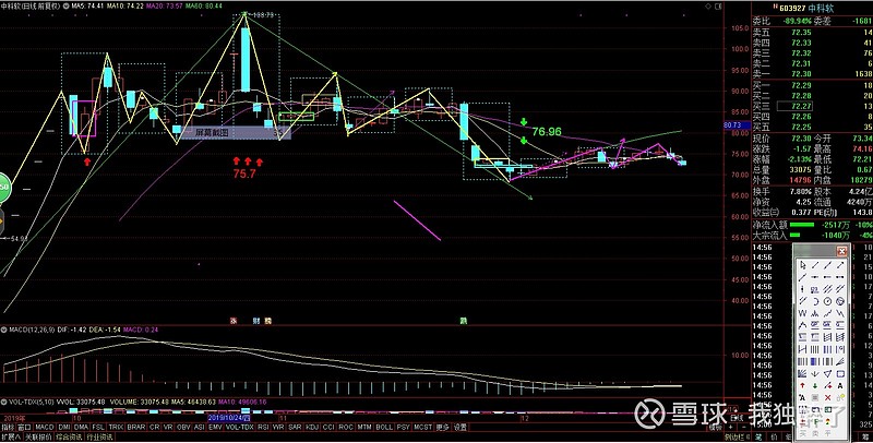 中科软：12月25日高管王欣减持股份合计26.2万股