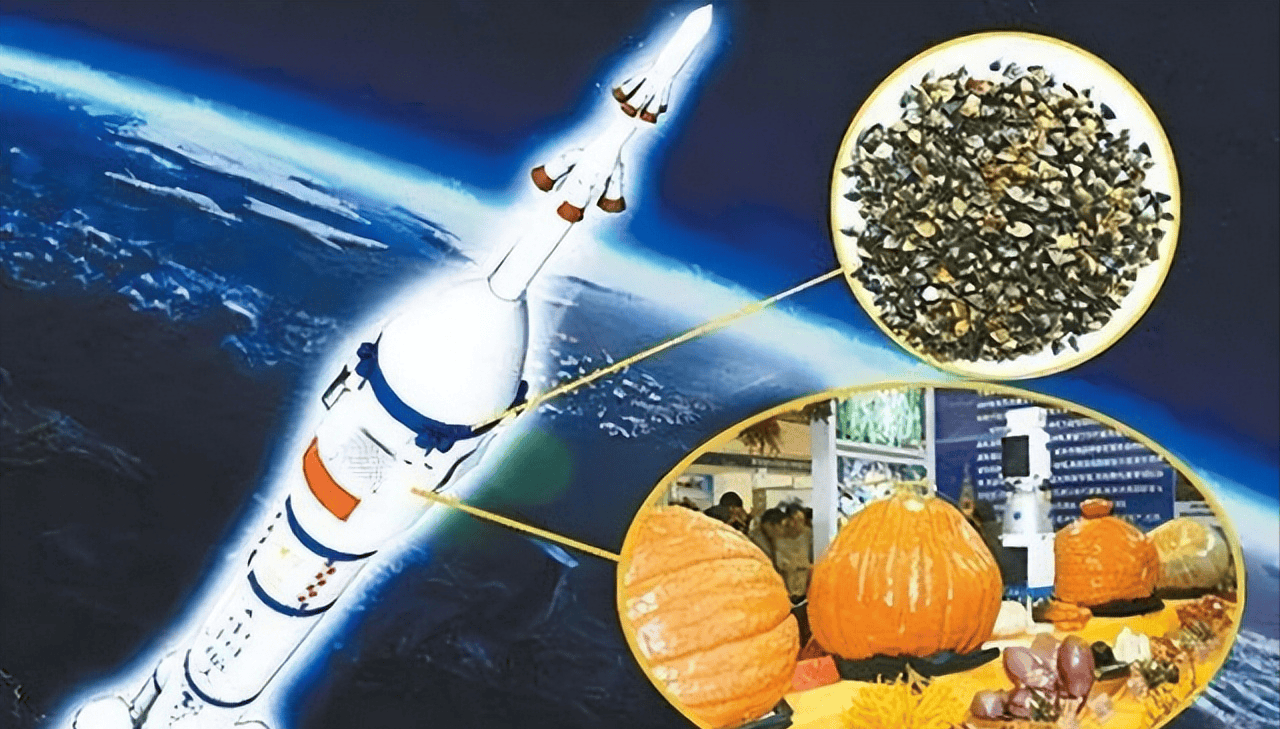 神农种业:庆油系列油菜种子登陆太空参与育种实验