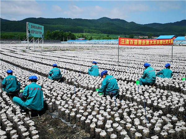 合百集团：产业覆盖零售业及农产品流通