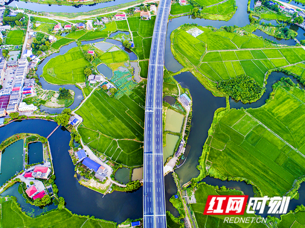 天健集团：持续完善公司治理，培育核心竞争力