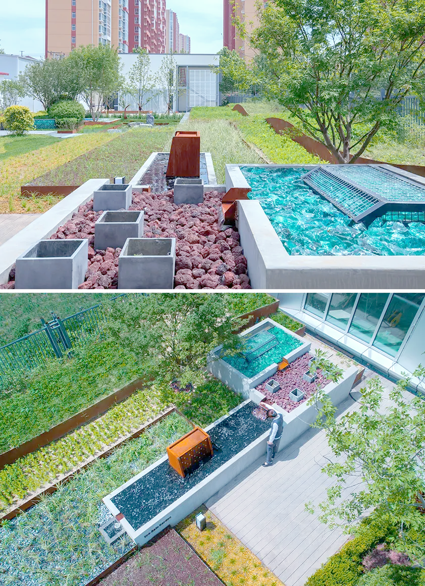 打造“雨林式”科技创新生态