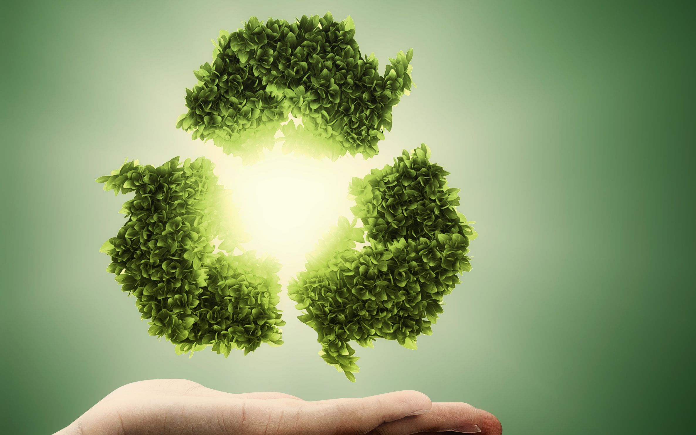 吉电股份：聚焦新能源与绿色氢基能源双赛道