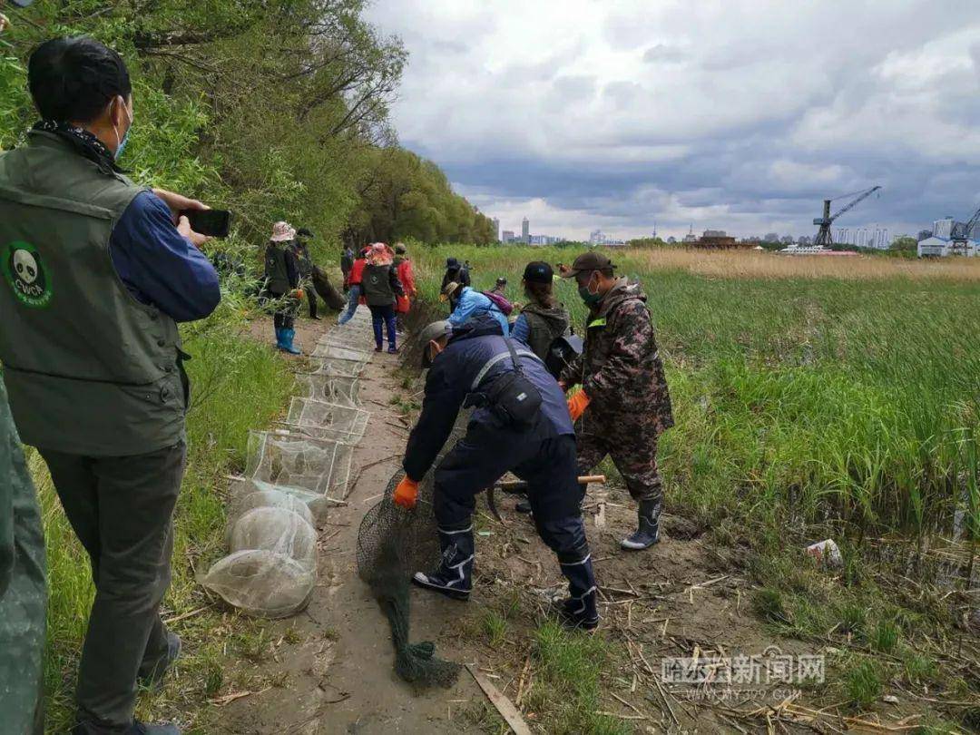 科特迪瓦实现非法医疗机构“清零”