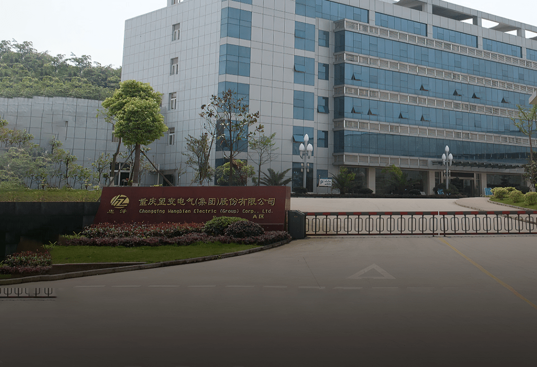 望变电气(603191.SH)：同意选举胡守天为第四届董事会副董事长