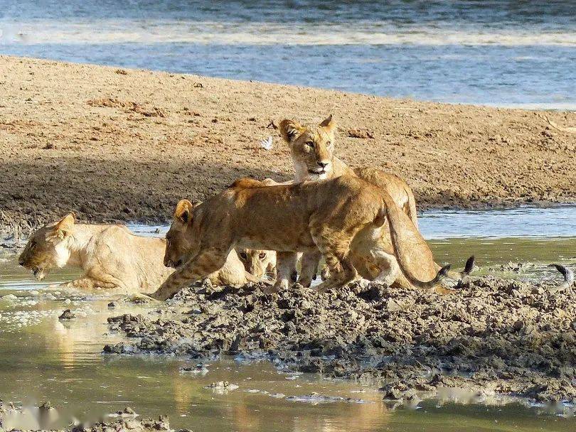 喀麦隆和联合国难民署致力于通过鼓励创业促进难民融入社会