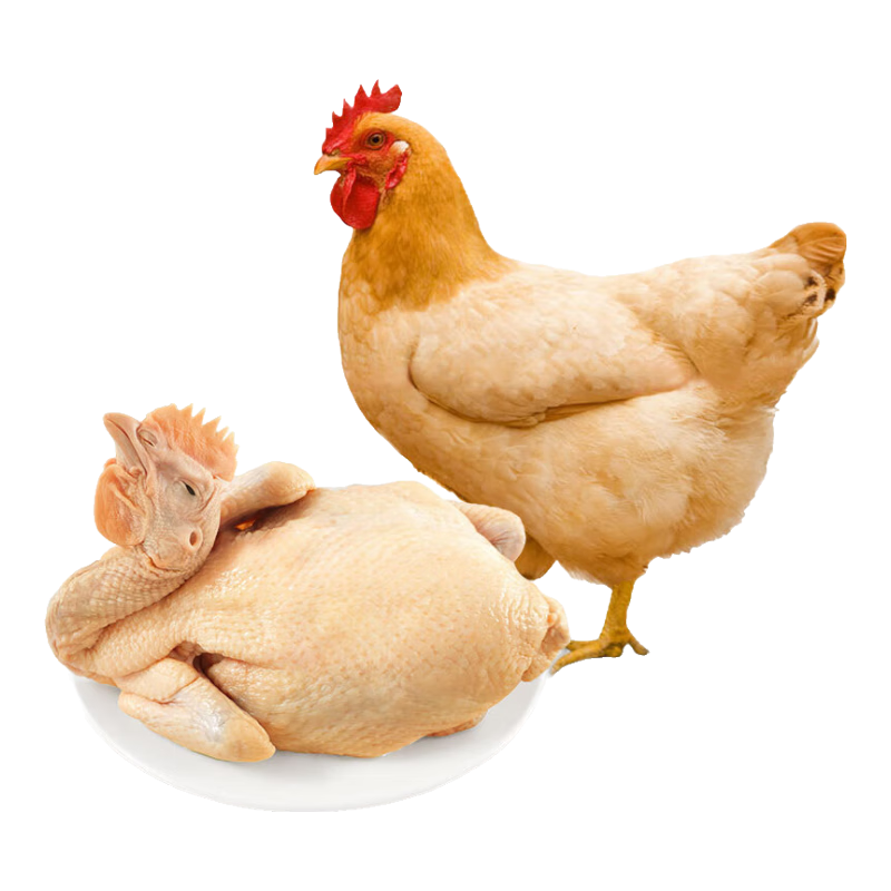 温氏股份猪鸡双轮驱动为何“熄火”？