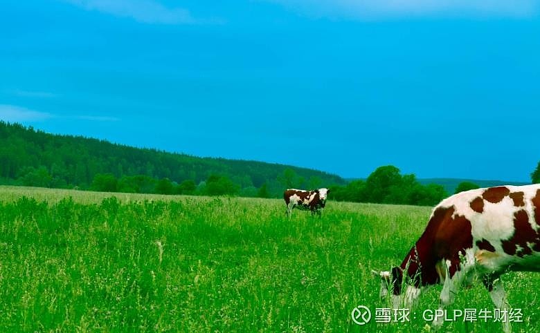 庄园牧场：1月12日高管马红富减持股份合计48.27万股