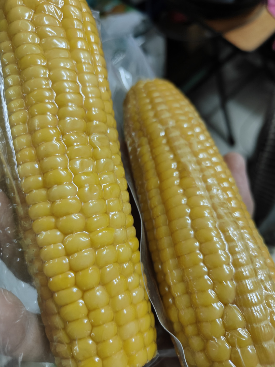 阿尔及利亚进口115万吨玉米以满足国内市场需求