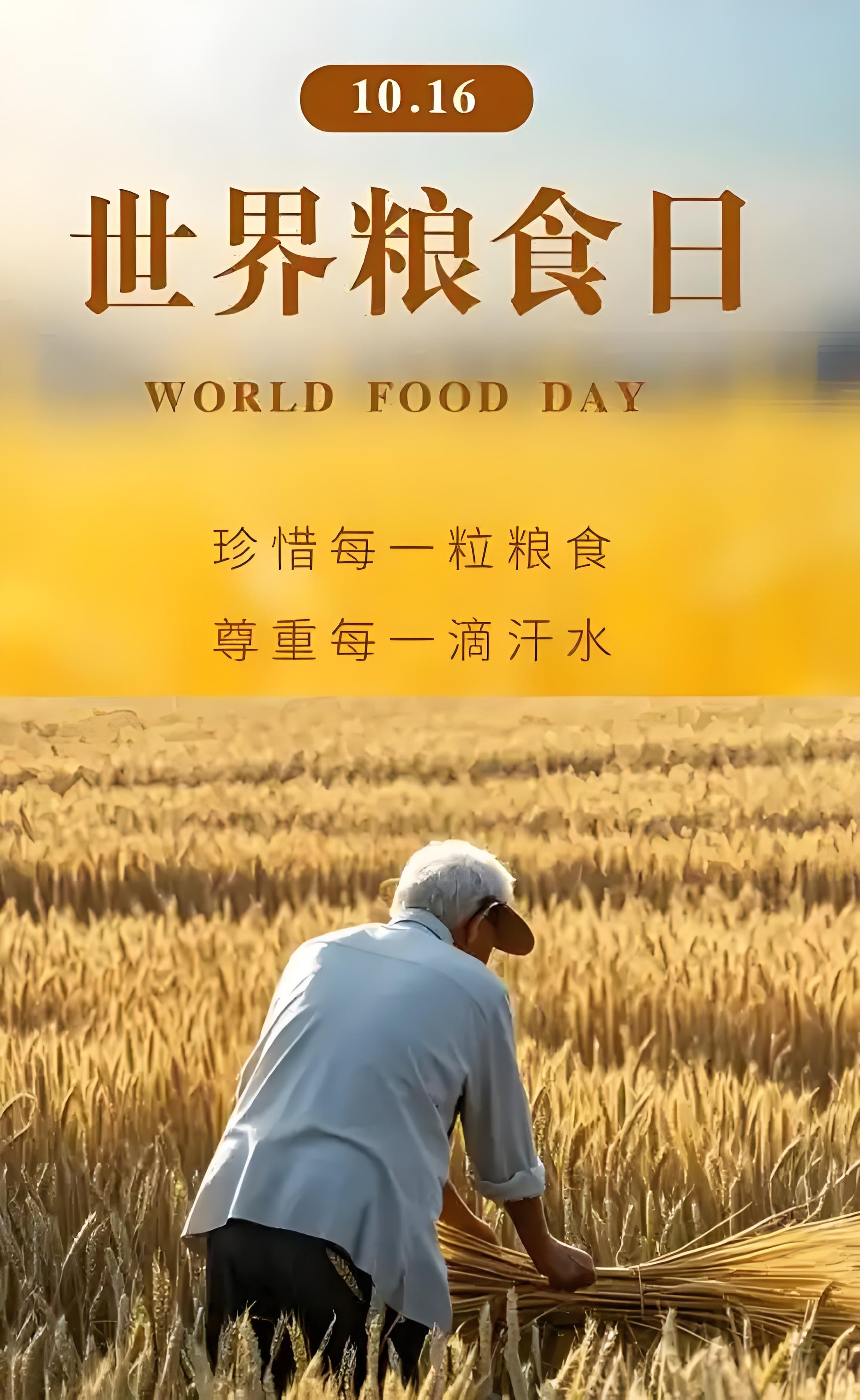 温室农业成为利比里亚应对气候危机与粮食安全的关键希望