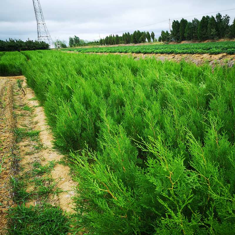 广汽集团完成30亿元绿色债券发行，利率1.99%