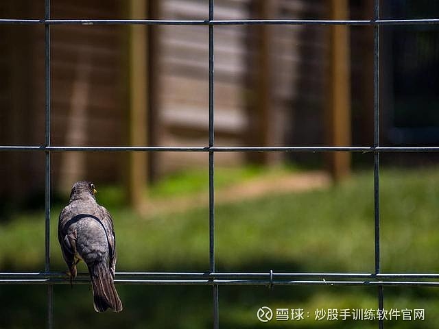 立方风控鸟·晚报（1月28日）