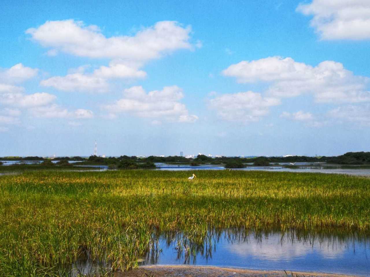 斯里兰卡马纳尔50兆瓦风电项目正式启动 可再生能源发展超预期推进