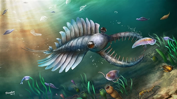 科技之眼丨素问:5亿年前的生物大灭绝藏着什么秘密?