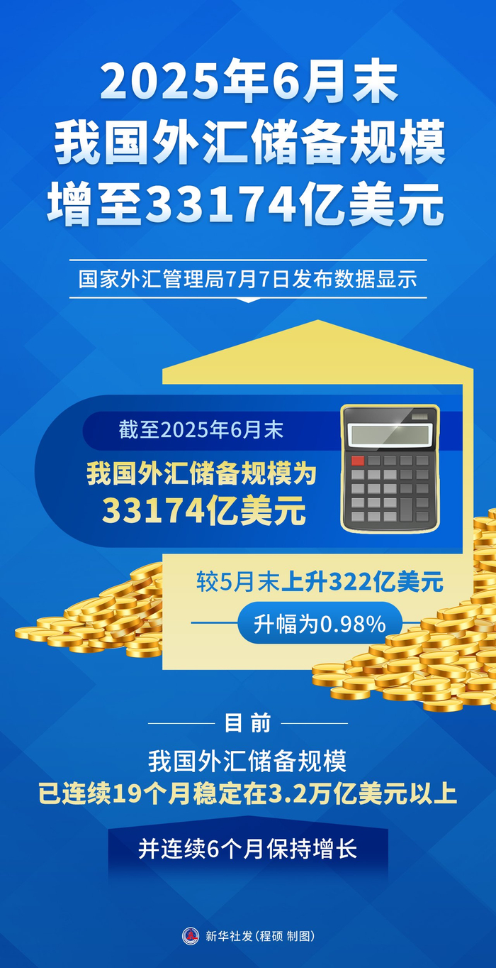2025年中国发行地方政府债券合计103101亿元