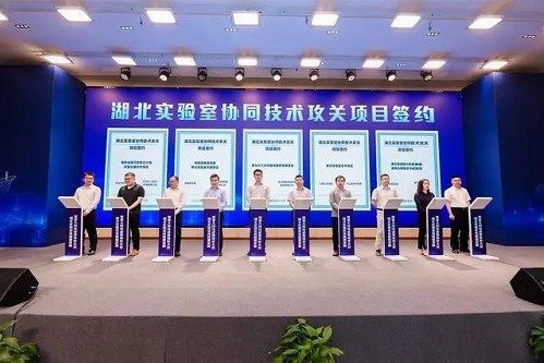 从实验室到产业链 荣耀以电池助力产业升级