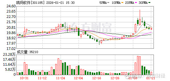 肇民科技:截至2026年1月30日公司股东人数为24,248户