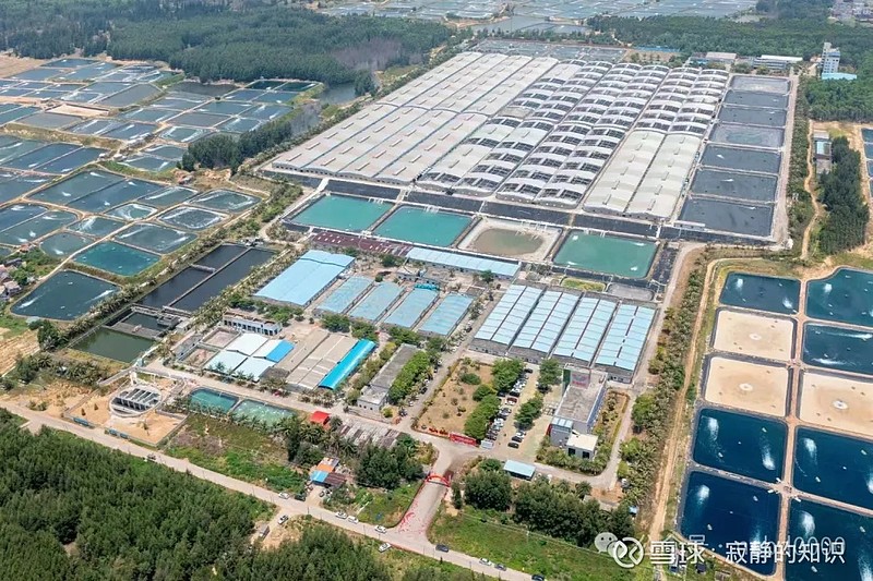 粤海饲料:公司已建立规范的现代企业治理体系