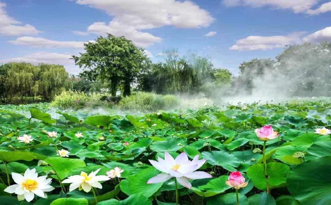 沪澳携手搭建绿色资本桥梁 离岸绿色债券直通车正式上线