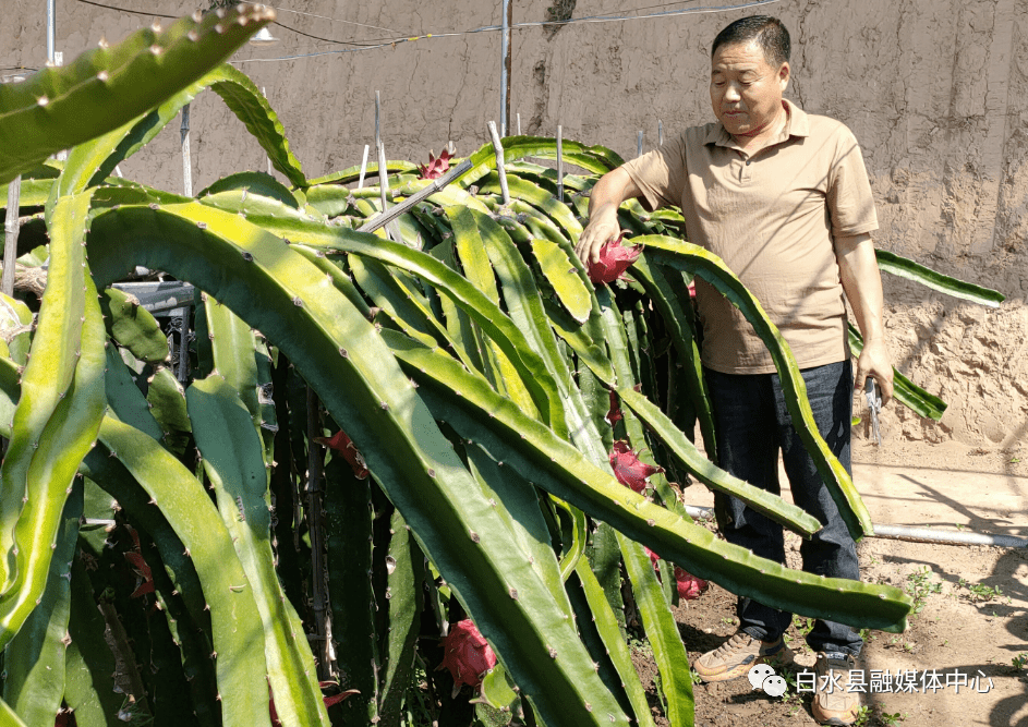 首创证券助力全国首单“乡村振兴支持西部大开发”CMBS成功发行