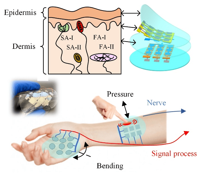 中国汽研获得发明专利授权：“基于柔性阵列压力传感器实时测量的动态特征轮廓识别方法”