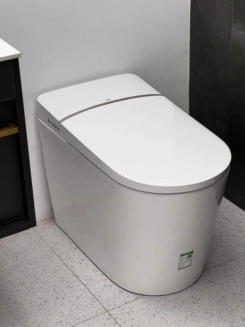 瑞尔特获得实用新型专利授权：“一种洗净流道结构及其马桶”