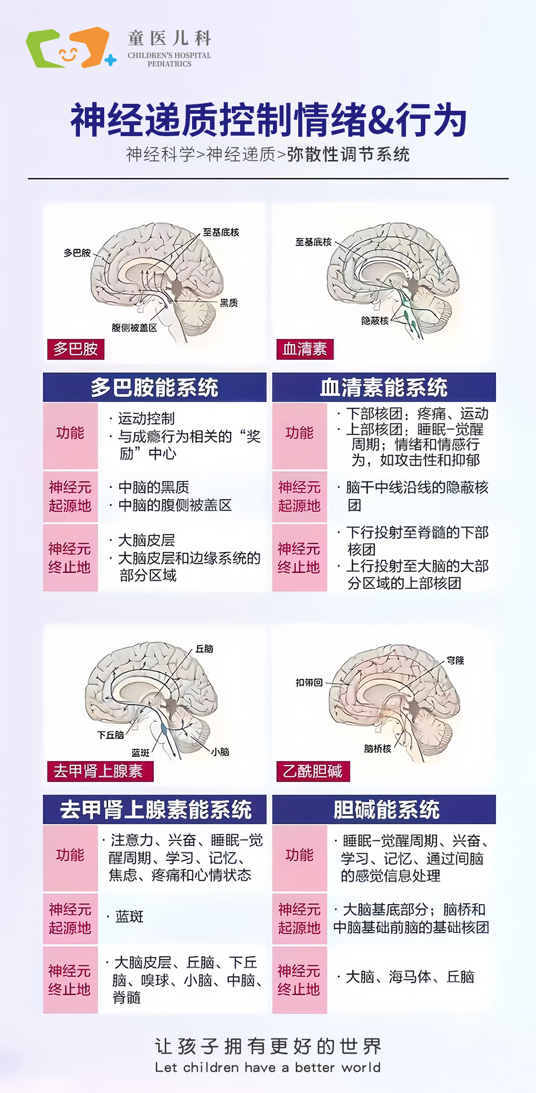AI算法自动解析脑干白质神经束