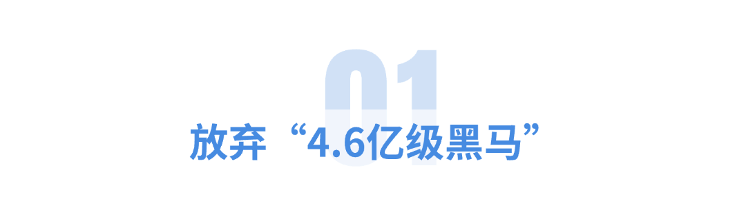 依依股份:截至2026年2月13日收市,持有公司股票的股东总户数为19,581