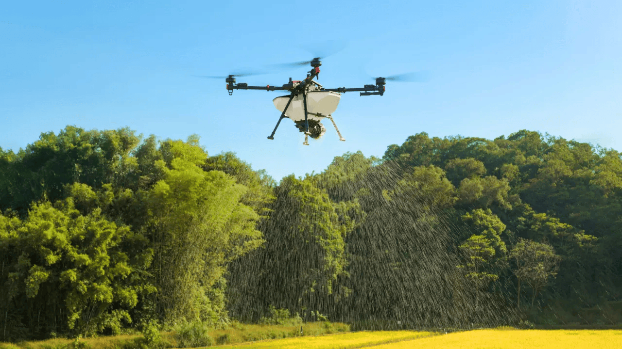 江苏阜宁:千架无人机点亮金沙湖 马年新春邂逅科技文旅之美