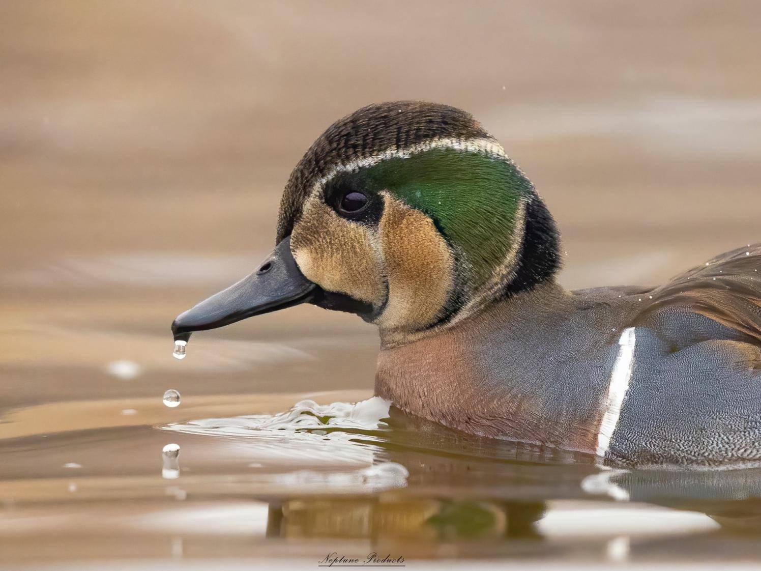 立方风控鸟·早报（2月27日）
