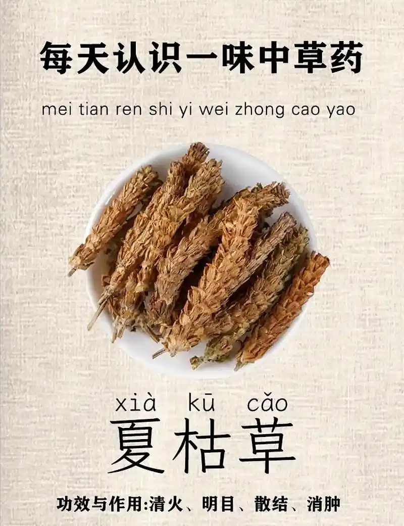 以岭药业获得发明专利授权：“一种抗病毒中药组合物中体内原型成分的检测方法”