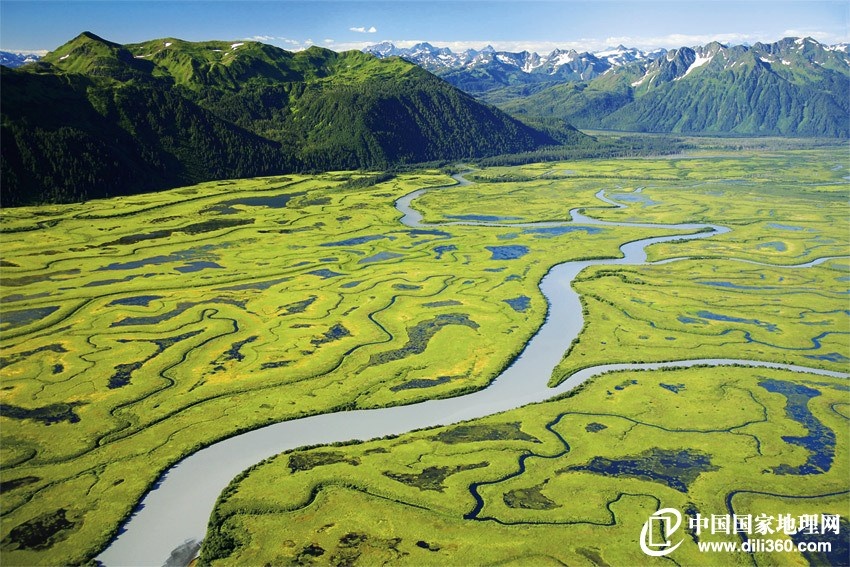 科士达：截至2月27日，公司股东人数约4.2万户