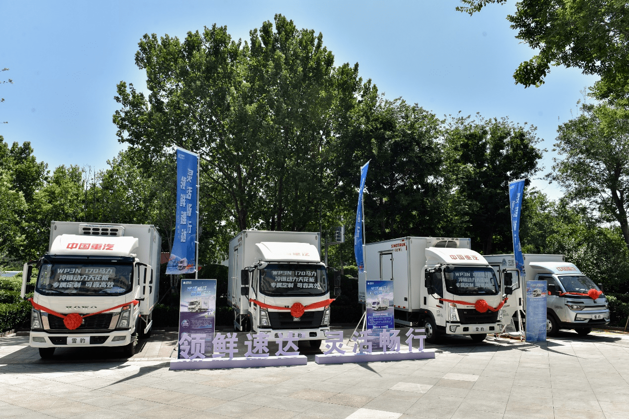 冷链物流的"数字革命" 华鼎雪豹大模型如何重构行业生态?